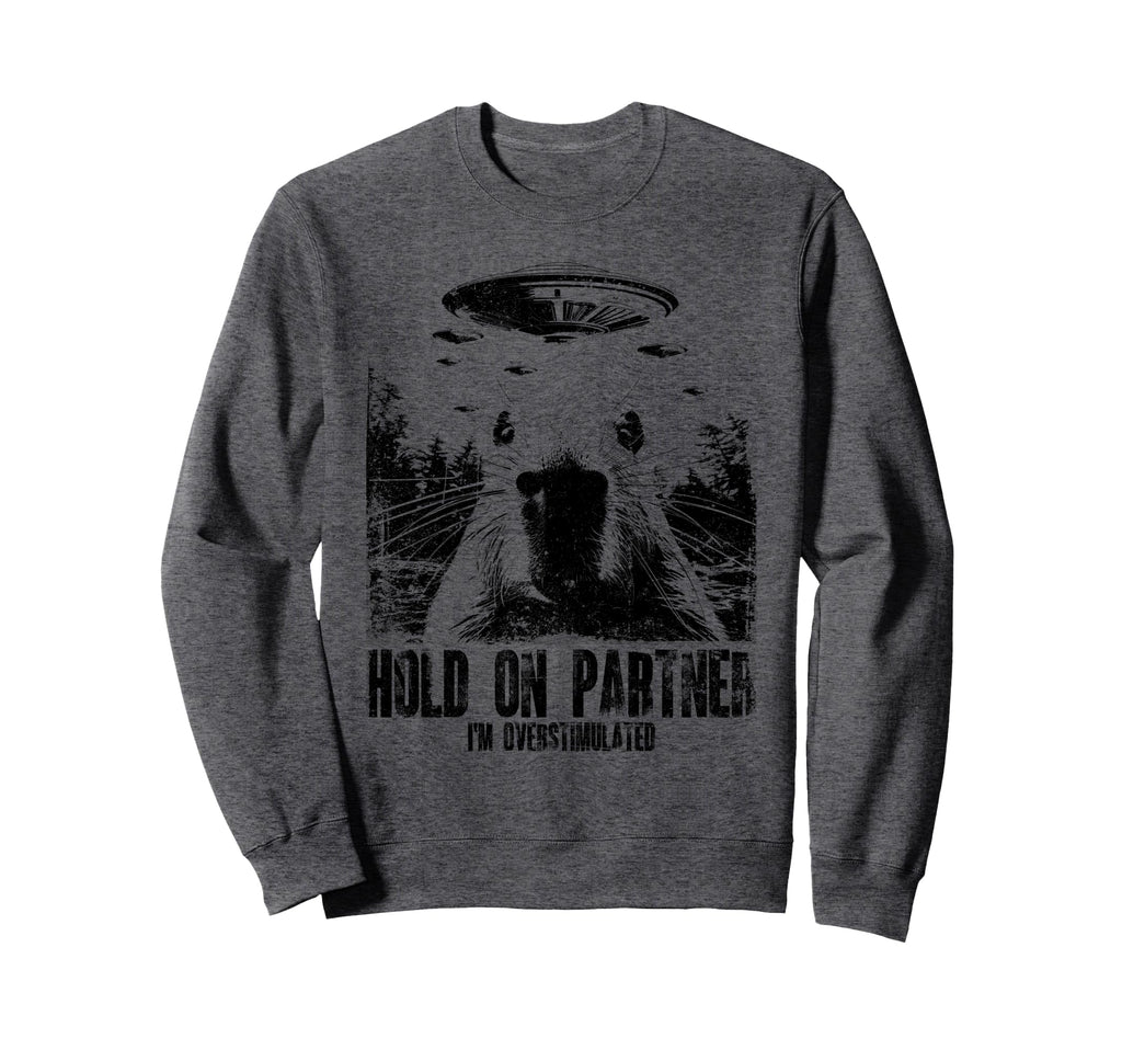 Hold Partner Funny Sarcastic Sweatshirt - Aesthetic Graphic Men Women - T-Shirt, Sweatshirt, Hoodie