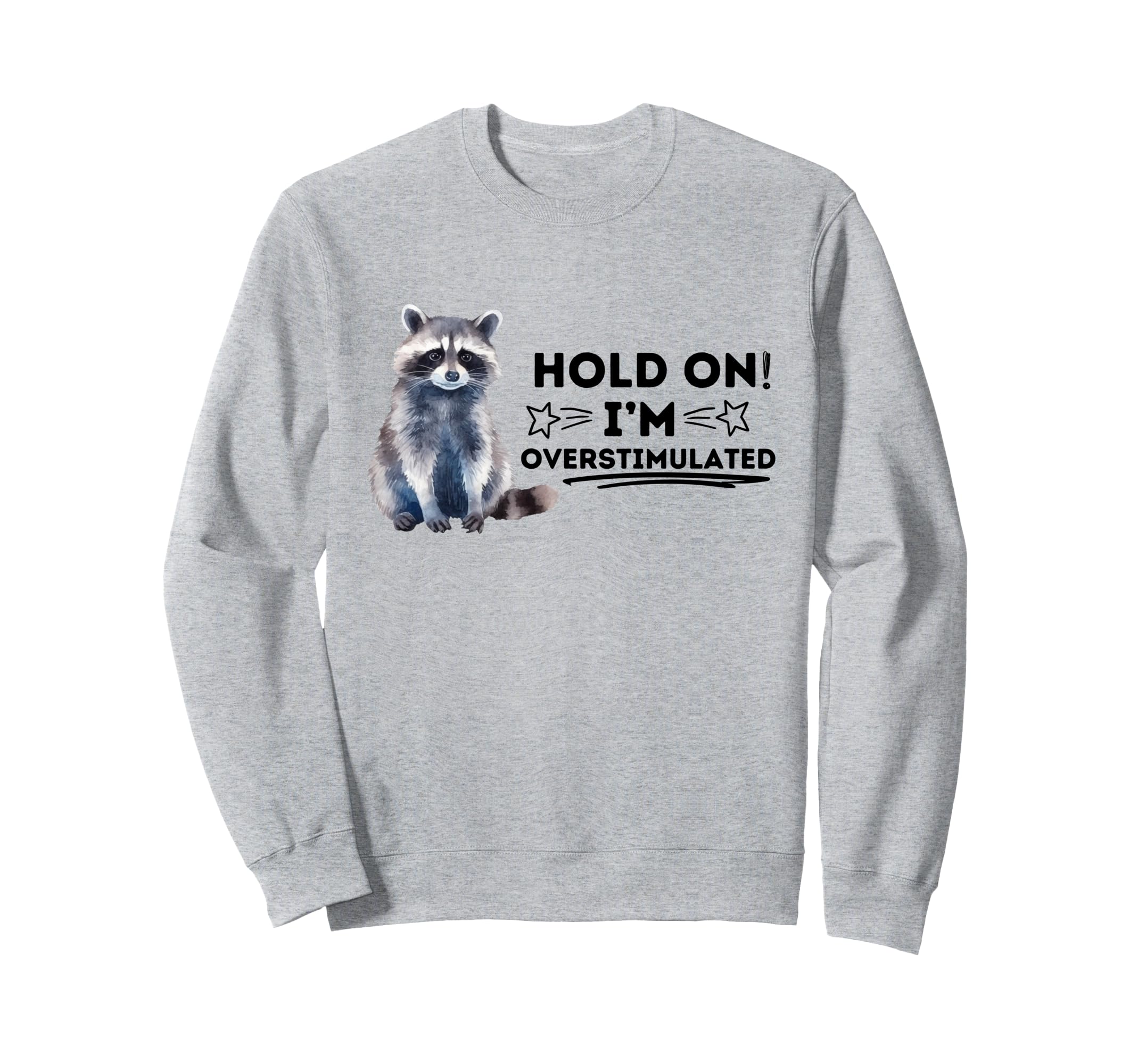 Raccoon Hold Im Overstimulated Sweatshirt - Trendy Graphic Men Women - T-Shirt, Sweatshirt, Hoodie
