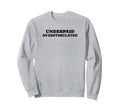 Underpaid Overstimulated Funny Gag Sweatshirt - Novelty Apparel for Adults - T-Shirt, Sweatshirt, Hoodie