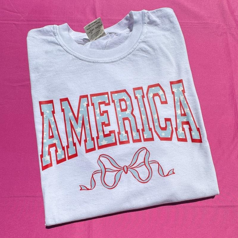 America Varsity Letter Comfort Colors 'NLB' T-Shirts, Hoodie, Sweatshirt - T-Shirt, Sweatshirt, Hoodie