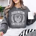 Barrington University LORDS Sinner Sacrifice Dark Romance Reader Book Shirt Bookish Book Club Reader C717 T-Shirts, Hoodie, Sweatshirt - T-Shirt, Sweatshirt, Hoodie