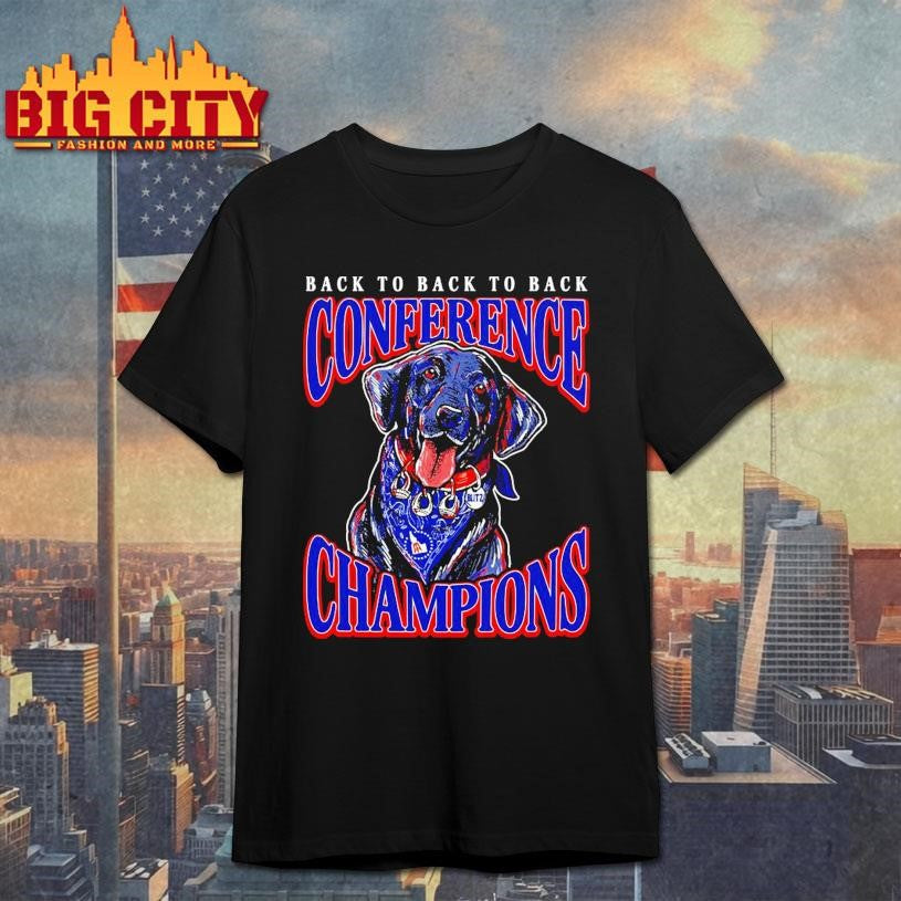 Conference Champions Blitz Shirt Unisex T-shirt, Sweatshirt, Hoodie, Long Sleeve Tee - T-Shirt, Sweatshirt, Hoodie