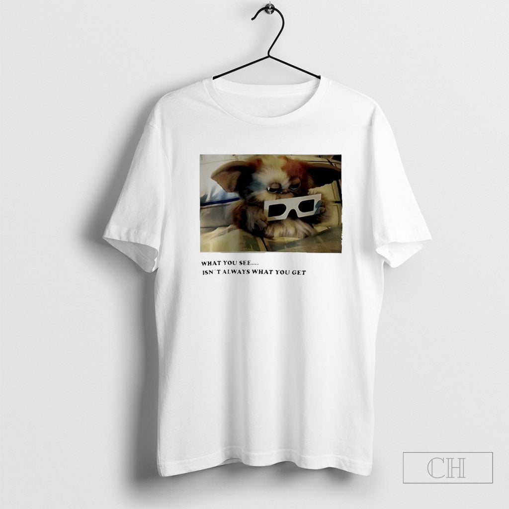Gizmo What You See Isnt Always What You Get Unisex T-shirt, Sweatshirt, Hoodie, Long Sleeve Tee - T-Shirt, Sweatshirt, Hoodie