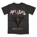 Aries Zodiac Sign Comfort Colors Horoscope Shirt Astrology T-Shirts, Hoodie, Sweatshirt - T-Shirt, Sweatshirt, Hoodie