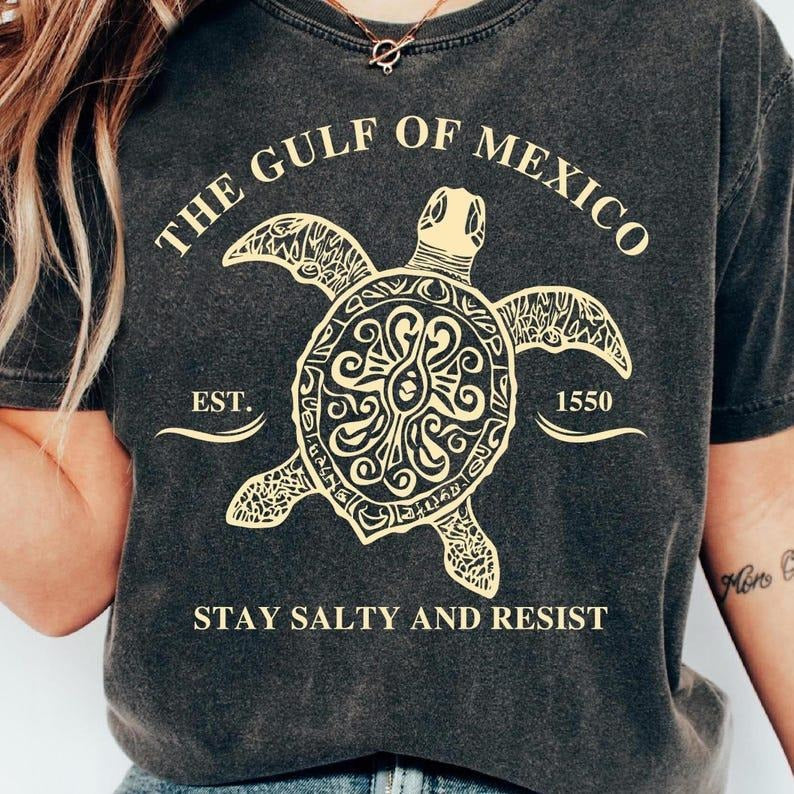 Gulf Mexico Stay Salty Resistance Mexico Beach Shirt Texas Alabama Florida Beach Anti Trumpp Subtle Political Shirt T-Shirts, Hoodie, Sweatshirt - T-Shirt, Sweatshirt, Hoodie