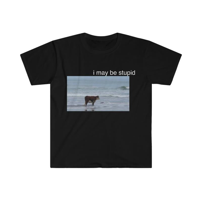 I May Be Stupid Cow Beach Funny Meme T-Shirts, Hoodie, Sweatshirt - T-Shirt, Sweatshirt, Hoodie