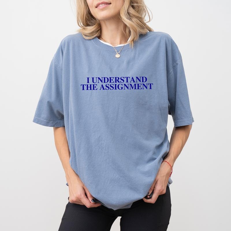 I Understand Assignment Comfort Color Shirt Human Rights Assignment Unhinged Shirt Daily Casual Fits Comfy Fabric Tops Womenswear Cotton Fabric Relaxed Fit Chic T-Shirts, Hoodie, Sweatshirt - T-Shirt, Sweatshirt, Hoodie