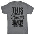 This Is What Amazing Grandpa Like Funny Family Guys Funny Cool Vintage Dark Grey T-Shirts, Hoodie, Sweatshirt - T-Shirt, Sweatshirt, Hoodie