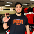 New York Destiny 2026 shirt Unisex T-shirt, Sweatshirt, Hoodie, Long Sleeve Tee - T-Shirt, Sweatshirt, Hoodie