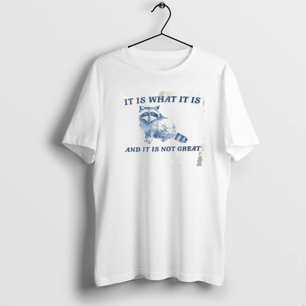 Official 0axoehdh Is What Is Is Not Great Raccoon T-Shirts, Hoodie, Sweatshirt - T-Shirt, Sweatshirt, Hoodie