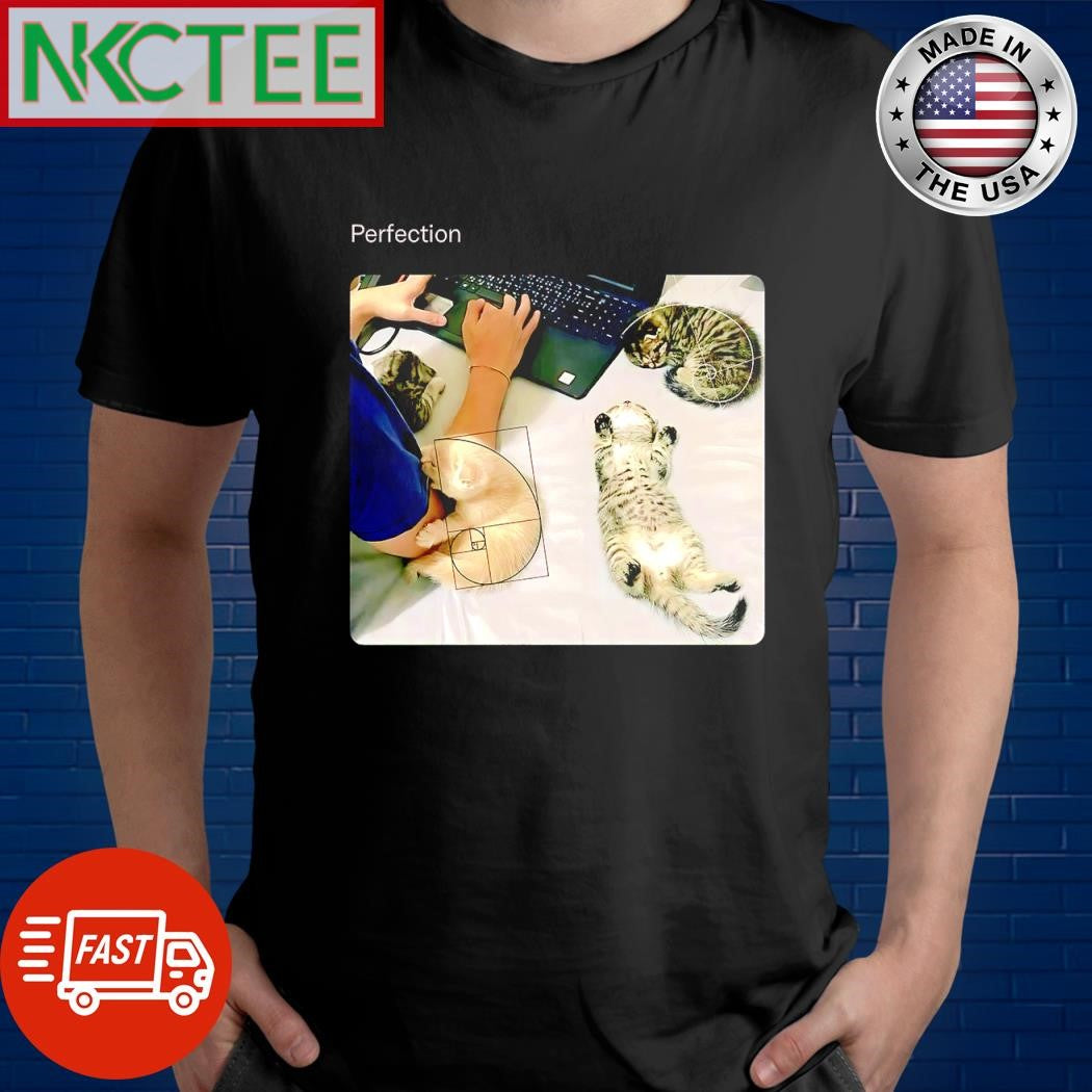 Official Perfection cats shirt Unisex T-shirt, Sweatshirt, Hoodie, Long Sleeve Tee - T-Shirt, Sweatshirt, Hoodie