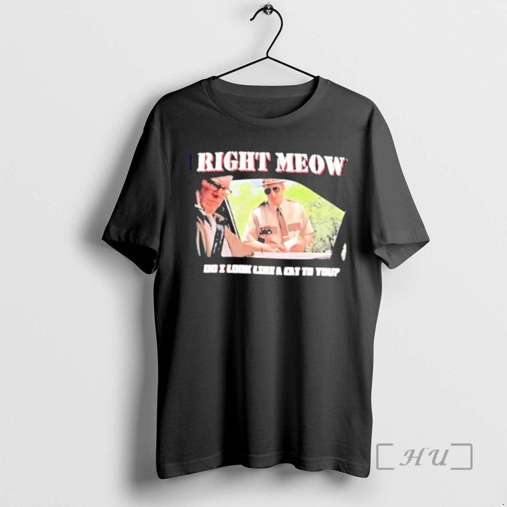 Officials Broken Lizard Right Meow Do I Like Cat You T-Shirts, Hoodie, Sweatshirt - T-Shirt, Sweatshirt, Hoodie