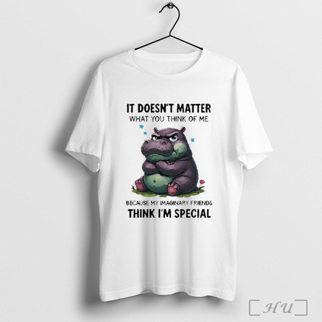 Officials Grumpy Hippo It Doesnt Matter What You Think Of Me Because My Imaginary Friends Unisex T-shirt, Sweatshirt, Hoodie, Long Sleeve Tee - T-Shirt, Sweatshirt, Hoodie