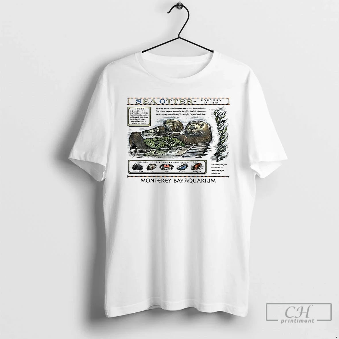 Premium Taylor Sea Otter Monterey Bay Aquarium T Shirts Unisex T-shirt, Sweatshirt, Hoodie, Long Sleeve Tee - T-Shirt, Sweatshirt, Hoodie