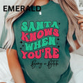 Santa KNows When You'Re Being B Shirt~ Relaxed Fit Printed USA Womenswear Casual Comfort Cotton Top Athletic Boho Chic T-Shirts, Hoodie, Sweatshirt - T-Shirt, Sweatshirt, Hoodie