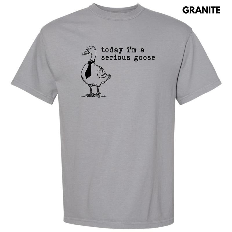 Serious Goose Comfort Colors 'NLB' T-Shirts, Hoodie, Sweatshirt - T-Shirt, Sweatshirt, Hoodie
