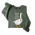 Today I'M Serious Goose Silly Goose Shirts Funny Silly Goose University Classic Fabric T-Shirts, Hoodie, Sweatshirt - T-Shirt, Sweatshirt, Hoodie