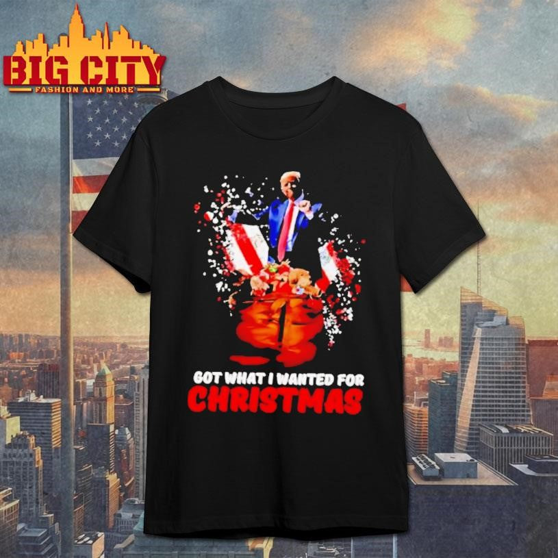 Trump Got What I Wanted For Christmas Stylish Shirt Unisex T-shirt, Sweatshirt, Hoodie, Long Sleeve Tee - T-Shirt, Sweatshirt, Hoodie