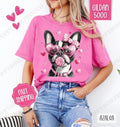 Valentine Boston Terrier Shirt Gildan Cute Plus Sizes T-Shirts, Hoodie, Sweatshirt - T-Shirt, Sweatshirt, Hoodie