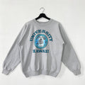 Vintage 80s University Hawaii University Hawaii Hawaii Hawaii Rainbow Warriors Print Logo Menswear Athletic T-Shirts, Hoodie, Sweatshirt - T-Shirt, Sweatshirt, Hoodie