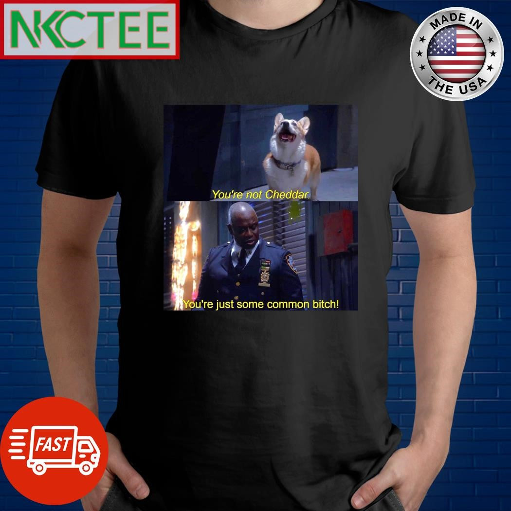 You’re not Cheddar You’re just some common bitch dog shirt Unisex T-shirt, Sweatshirt, Hoodie, Long Sleeve Tee - T-Shirt, Sweatshirt, Hoodie