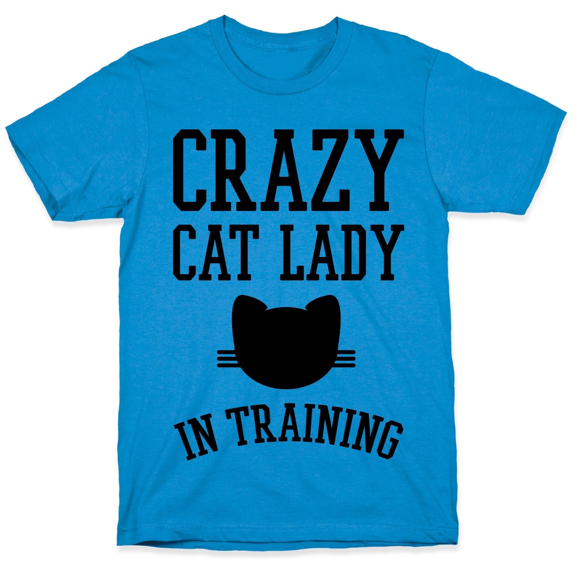 Crazy Cat Lady Training T-Shirts, Hoodie, Sweatshirt - T-Shirt, Sweatshirt, Hoodie