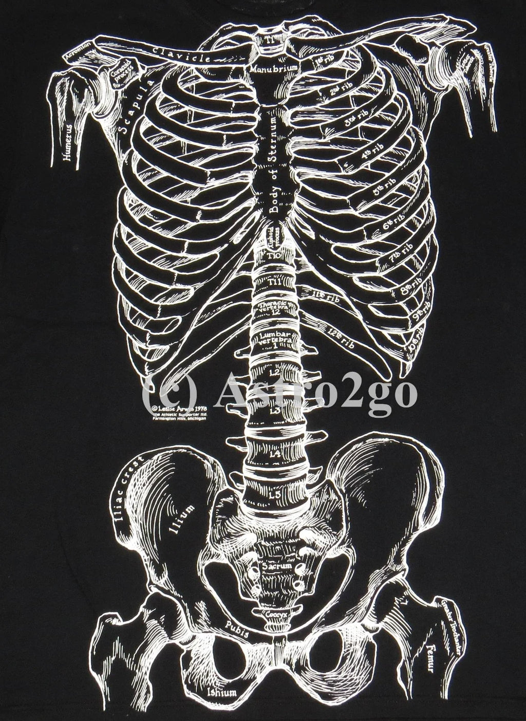 BONES-Leslie Arwin Skeleton Anatomy Biology Life Science Medical 2 sided T shirt Unisex T-shirt, Sweatshirt, Hoodie, Long Sleeve Tee - T-Shirt, Sweatshirt, Hoodie