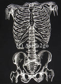 BONES-Leslie Arwin Skeleton Anatomy Biology Life Science Medical 2 sided T shirt Unisex T-shirt, Sweatshirt, Hoodie, Long Sleeve Tee - T-Shirt, Sweatshirt, Hoodie
