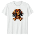 Cute Long Haired Dachshund Dog T-Shirt Dachshund Dog Birthday Gift Unisex T-shirt, Sweatshirt, Hoodie, Long Sleeve Tee - T-Shirt, Sweatshirt, Hoodie