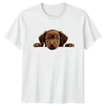 Cute Brown Puppy Peeking T-Shirt Puppy Dogs Birthday Gift For Him And Her Unisex T-shirt, Sweatshirt, Hoodie, Long Sleeve Tee - T-Shirt, Sweatshirt, Hoodie