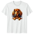 Cute Long Haired Dachshund Dog Art T-Shirt Dachshund Dog Birthday Gift Unisex T-shirt, Sweatshirt, Hoodie, Long Sleeve Tee - T-Shirt, Sweatshirt, Hoodie
