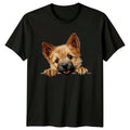 Cute Cairn Terrier Dog Peek A Boo Graphic T-Shirt Unisex T-shirt, Sweatshirt, Hoodie, Long Sleeve Tee - T-Shirt, Sweatshirt, Hoodie