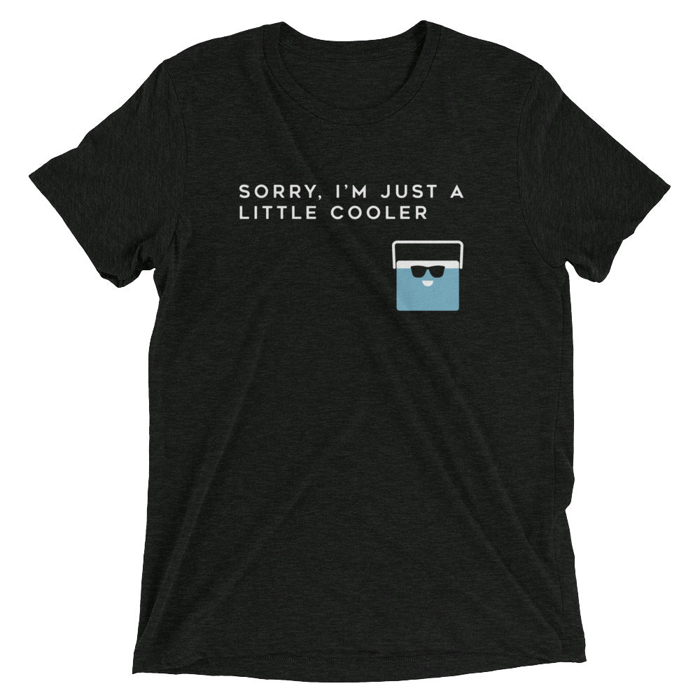 Sorry I'M Just Little Cooler Tri Blend T-Shirts, Hoodie, Sweatshirt - T-Shirt, Sweatshirt, Hoodie
