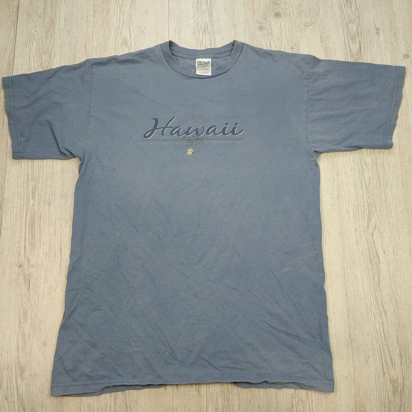 Y2K Hawaii Islands Boxy T-Shirt Travel Tee Men's Size L Cotton Gildan Blue Unisex T-shirt, Sweatshirt, Hoodie, Long Sleeve Tee - T-Shirt, Sweatshirt, Hoodie
