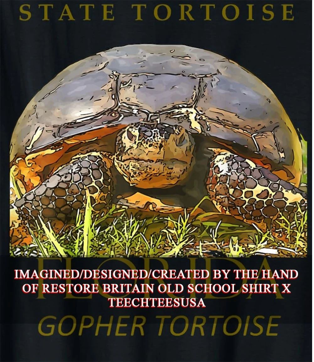 State Tortoise Florida Gopher Tortoise shirt Unisex T-shirt, Sweatshirt, Hoodie, Long Sleeve Tee - T-Shirt, Sweatshirt, Hoodie