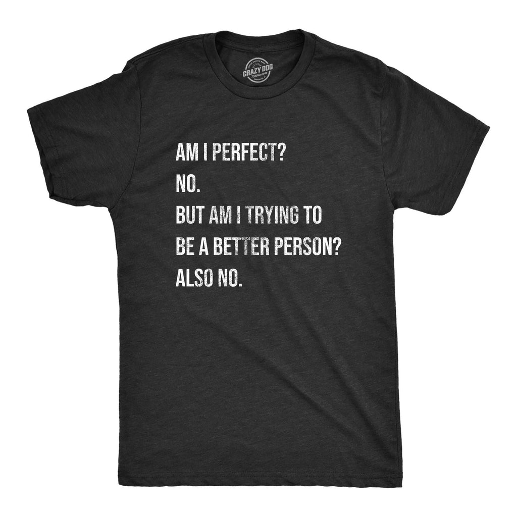 Mens Am I Perfect No T Shirt Funny Sarcastic Self Improvement Joke Novelty Tee Unisex T-shirt, Sweatshirt, Hoodie, Long Sleeve Tee - T-Shirt, Sweatshirt, Hoodie