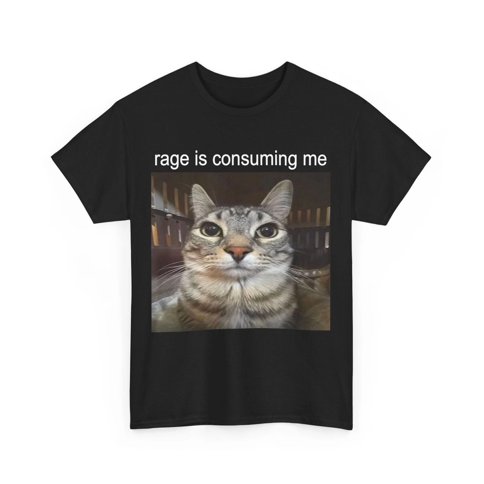 Rage Is Consuming Me Silly Staring Cat Meme T-Shirt Unisex T-shirt, Sweatshirt, Hoodie, Long Sleeve Tee - T-Shirt, Sweatshirt, Hoodie