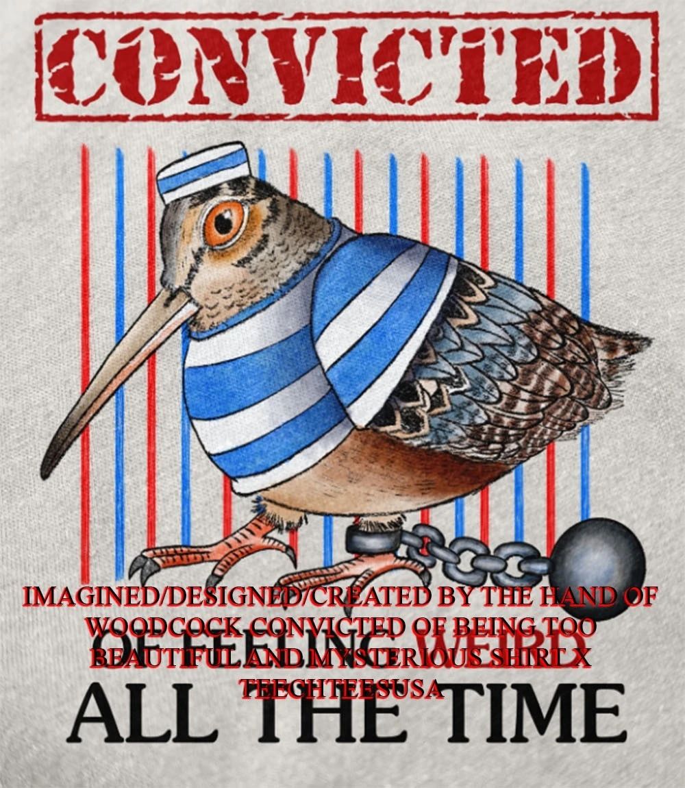 Woodcock convicted of feeling weird all the time shirt Unisex T-shirt, Sweatshirt, Hoodie, Long Sleeve Tee - T-Shirt, Sweatshirt, Hoodie