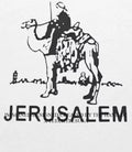 Zendaya Jerusalem shirt Unisex T-shirt, Sweatshirt, Hoodie, Long Sleeve Tee - T-Shirt, Sweatshirt, Hoodie