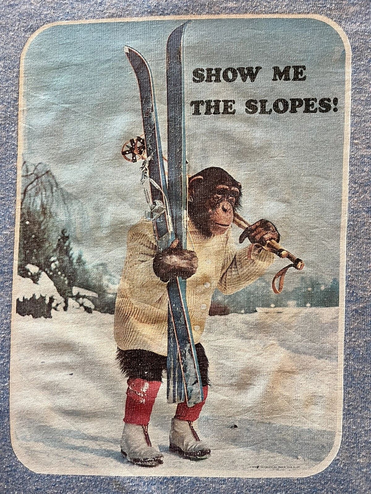 1978 Show Me The Slopes Skiing Vintage Ringer Graphic T Shirt Size Large  Blue Unisex T-shirt, Sweatshirt, Hoodie, Long Sleeve Tee - T-Shirt, Sweatshirt, Hoodie