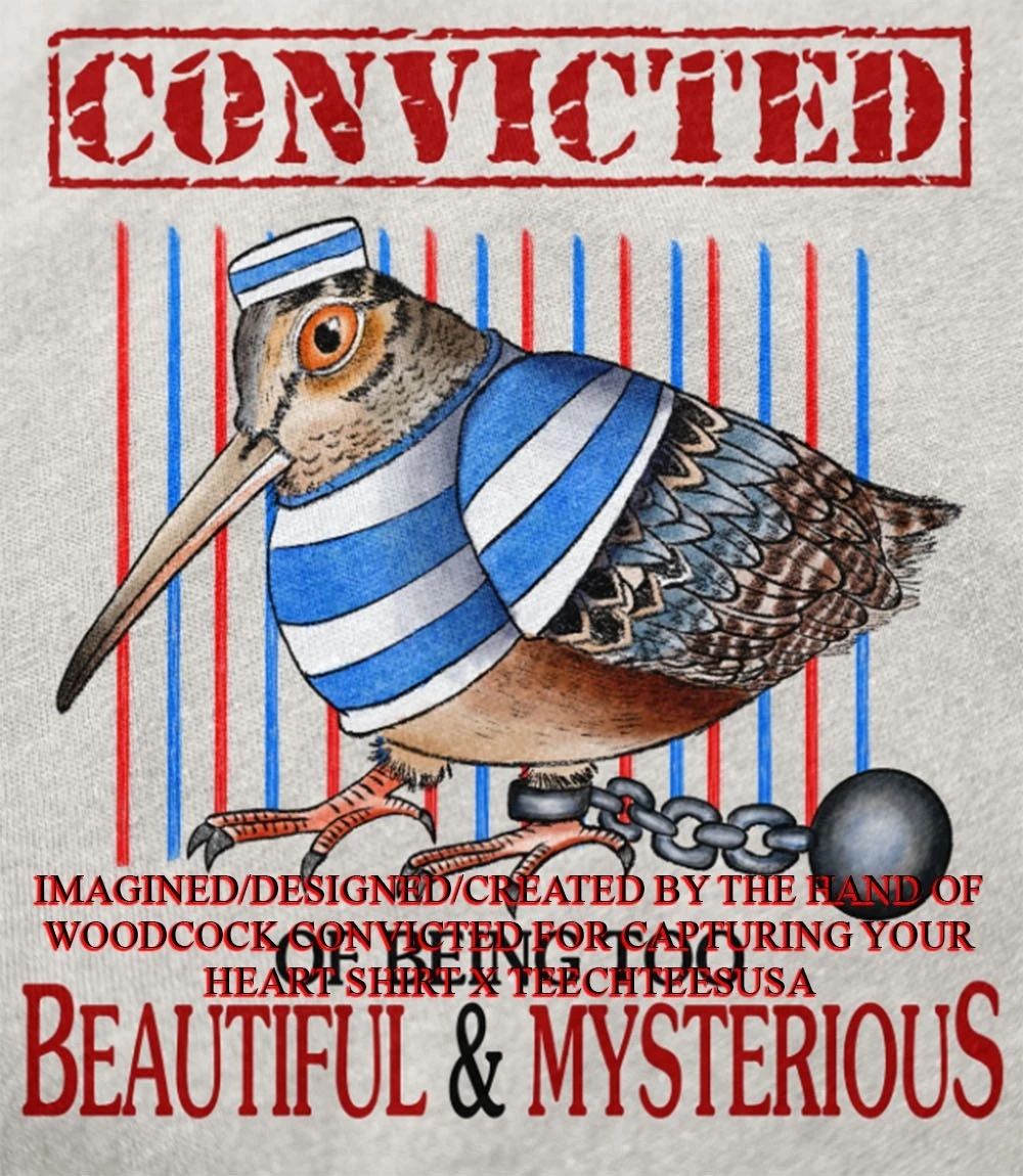 Woodcock convicted of being too beautiful and mysterious shirt Unisex T-shirt, Sweatshirt, Hoodie, Long Sleeve Tee - T-Shirt, Sweatshirt, Hoodie